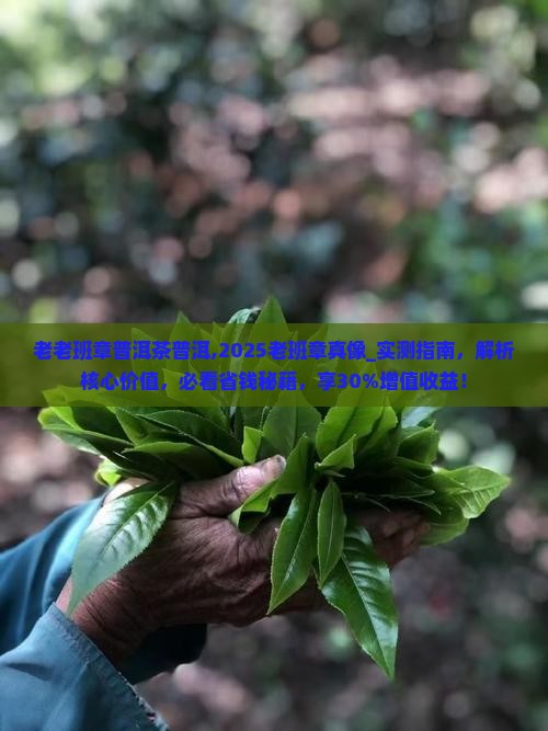 老老班章普洱茶普洱