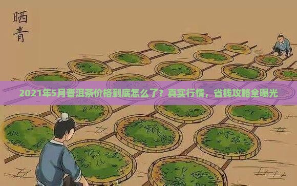 2021年5月普洱茶价格