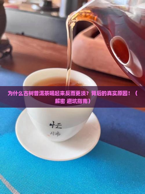 普洱茶为什么古树味道更淡