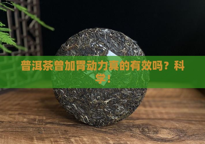 普洱茶曾加胃动力
