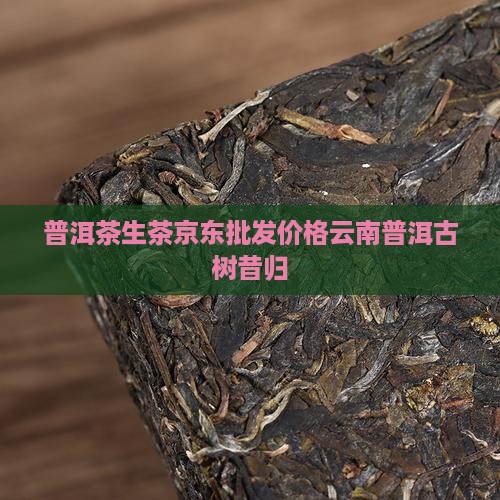 昔归的普洱茶价格