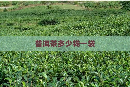 皇冠普洱茶多少钱一袋 皇冠普洱茶多少钱一袋