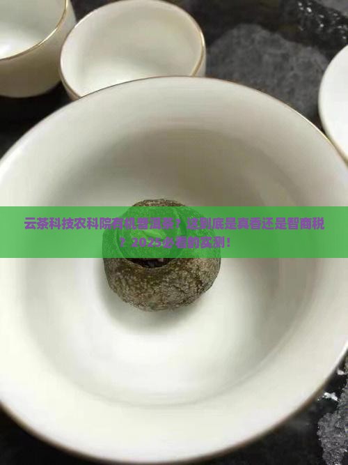 云茶科技农科院有机普洱茶