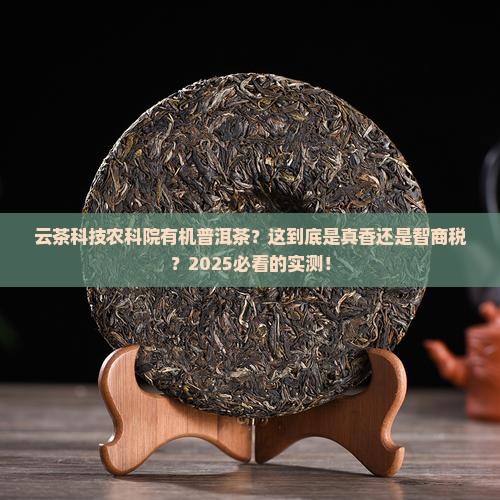 云茶科技农科院有机普洱茶