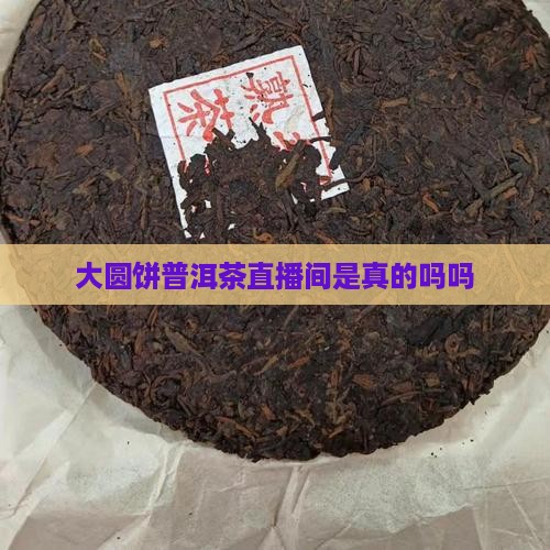 大圆饼普洱茶直播间是真的吗