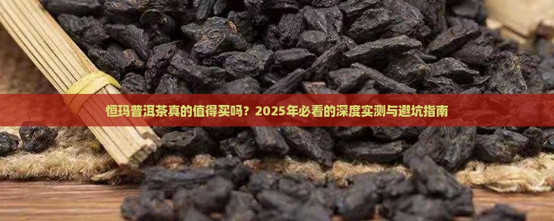 恒玛普洱茶怎么样