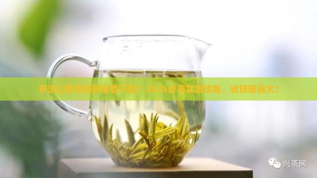 普洱茶布浪山好喝吗值得买吗
