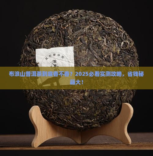普洱茶布浪山好喝吗值得买吗