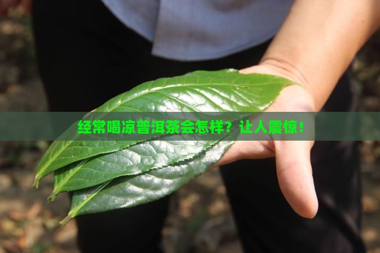 经常喝凉普洱茶