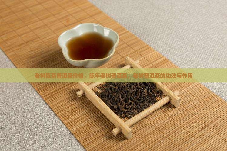 老树陈茶普洱茶