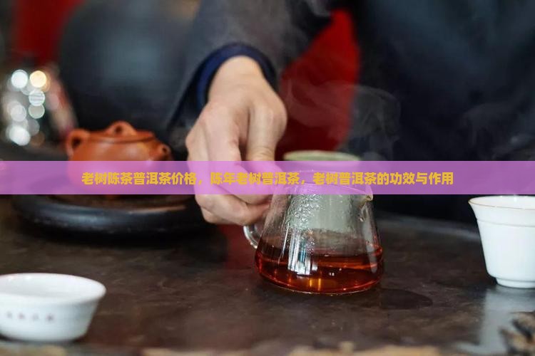 老树陈茶普洱茶