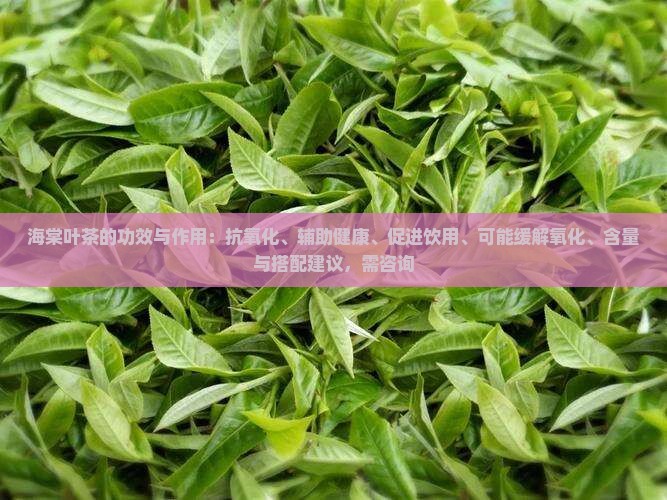 海棠叶茶的功效与作用