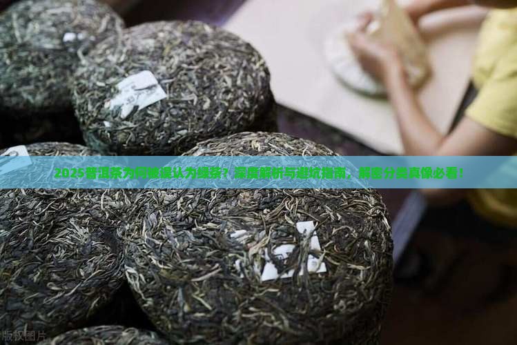 普洱茶为什么是绿茶