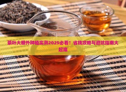茶叶可以在大棚外面种吗