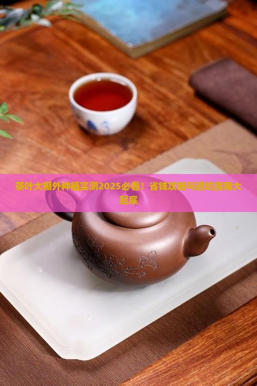 茶叶可以在大棚外面种吗
