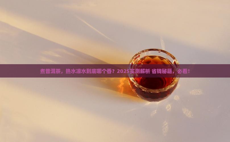 煮普洱茶用热水还是凉水