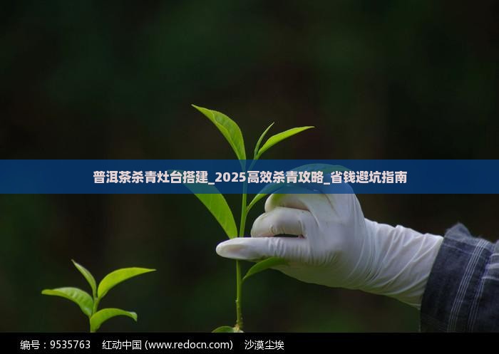 普洱茶杀青灶台搭建
