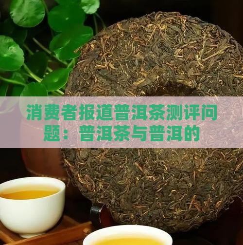 消费者报道普洱茶测评问题