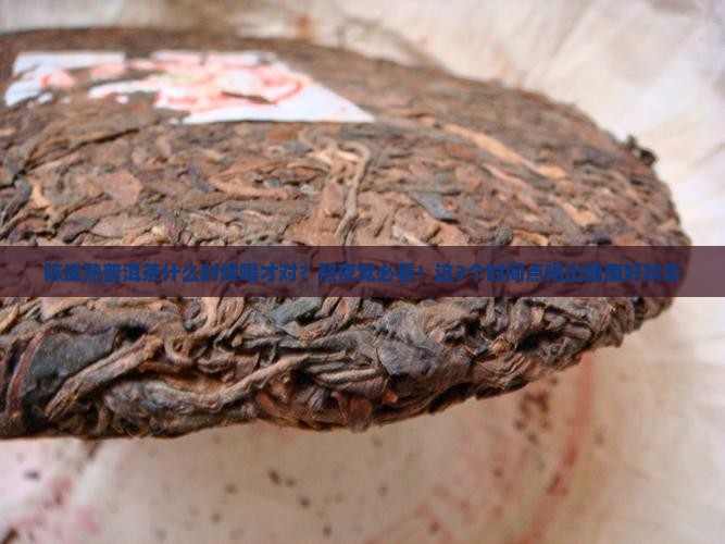 陈皮熟普洱茶什么时候喝