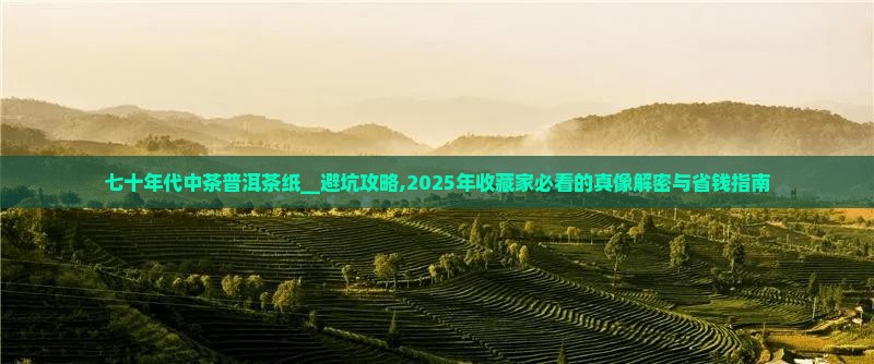 七十年代中茶普洱茶纸