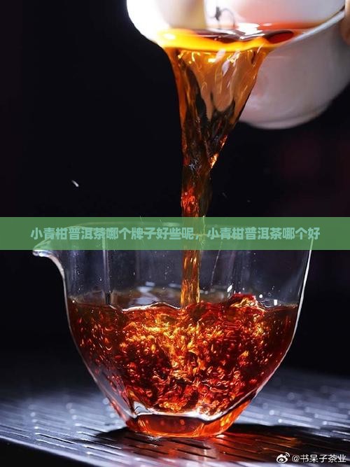 小青柑普洱茶哪个牌子好些
