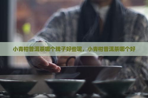小青柑普洱茶哪个牌子好些