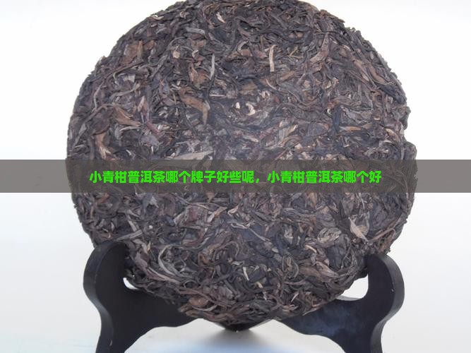小青柑普洱茶哪个牌子好些