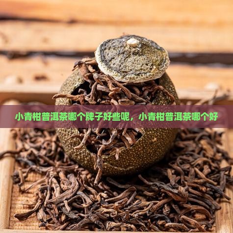 小青柑普洱茶哪个牌子好些
