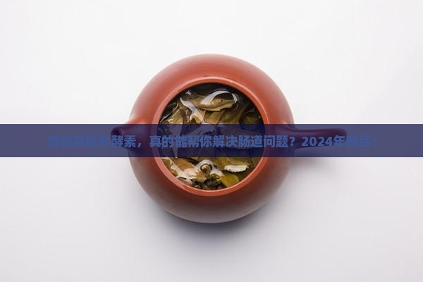 普洱茶诺丽酵素