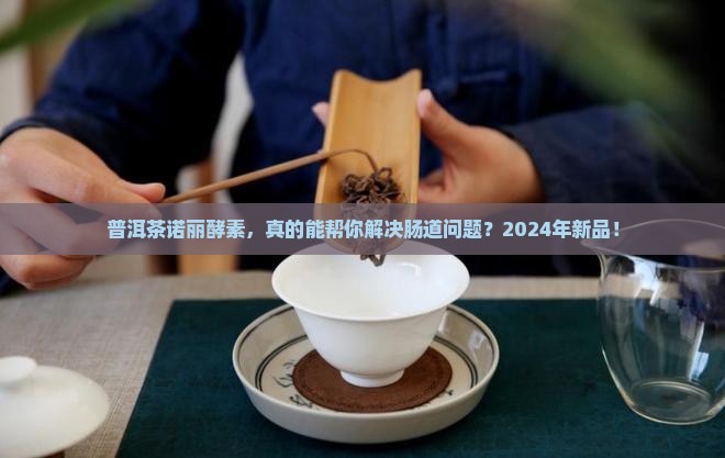 普洱茶诺丽酵素