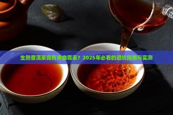 生熟普洱茶黄曲霉素