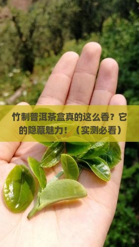 竹制普洱茶盒的优点