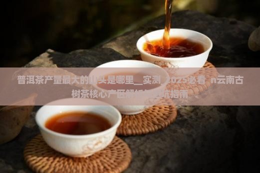 普洱茶产量最大的山头是哪里