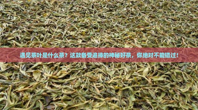 遇见茶叶是什么茶