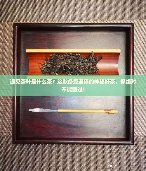 遇见茶叶是什么茶