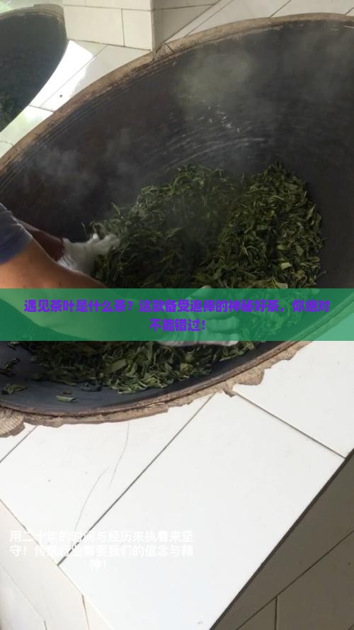 遇见茶叶是什么茶