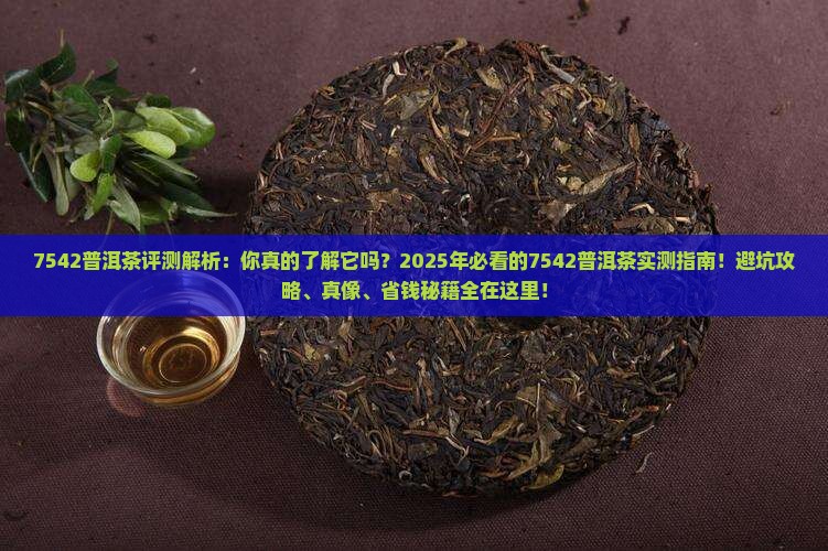 7542普洱茶评测