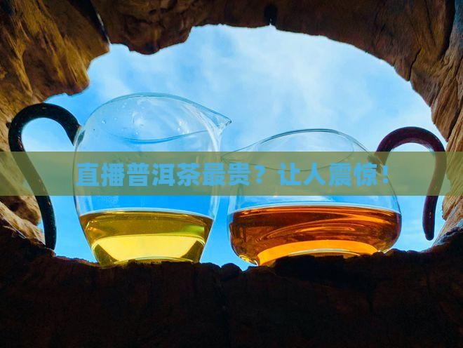 直播普洱茶最贵