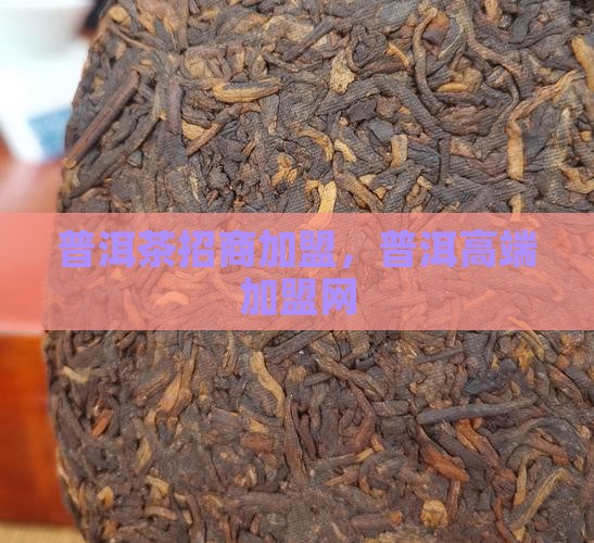 南昌高端普洱茶招商网