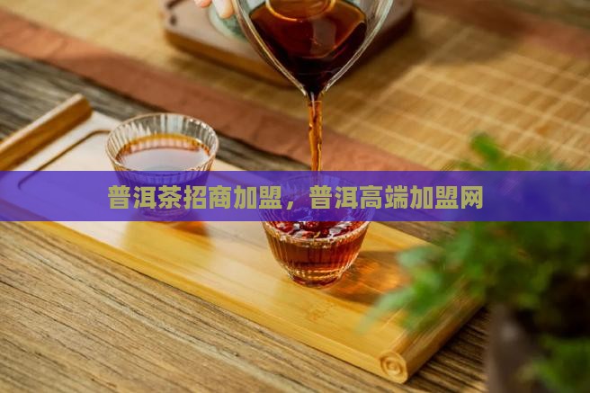 南昌高端普洱茶招商网