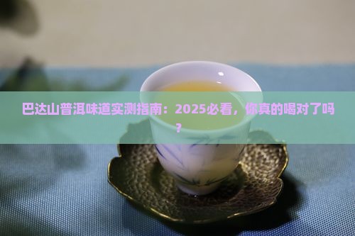 巴达山普洱味道