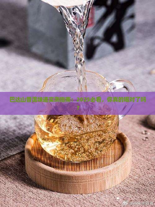 巴达山普洱味道