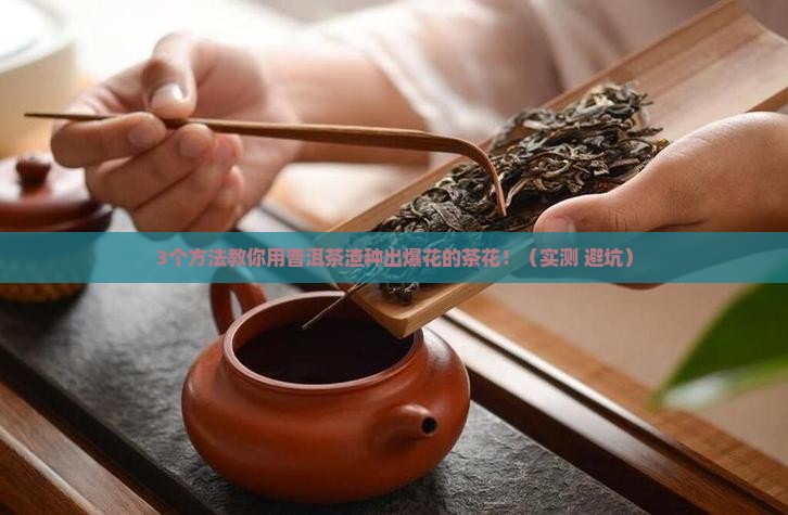 普洱茶渣做茶花肥