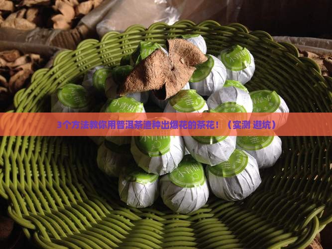 普洱茶渣做茶花肥
