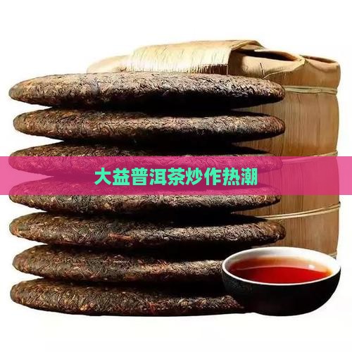 大益普洱茶炒作热潮