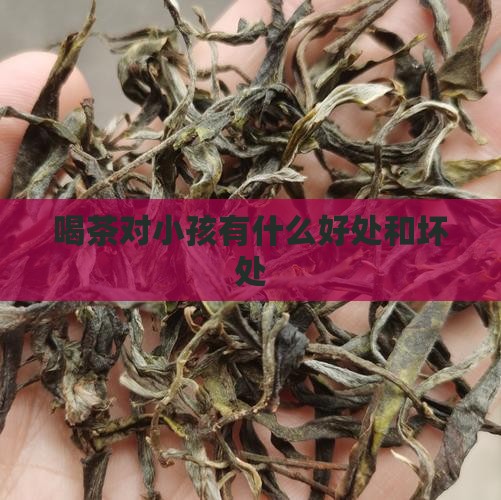 喝茶对小孩有什么好处和坏处