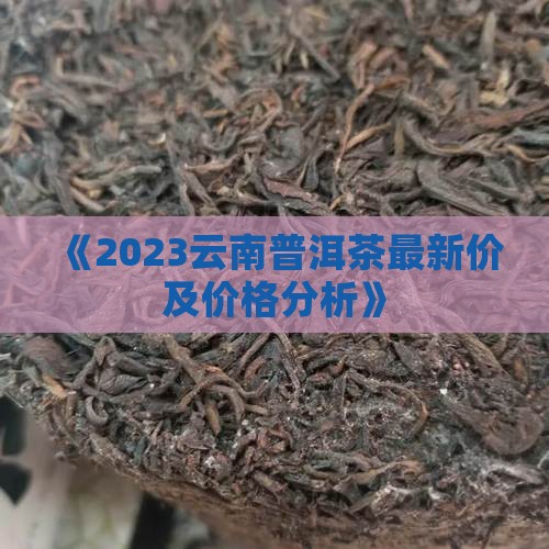 《2023云南普洱茶最新价及价格分析》