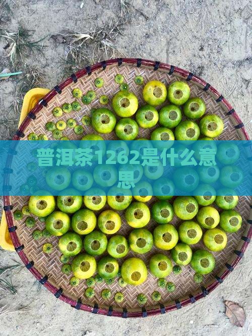 普洱茶1262是什么意思
