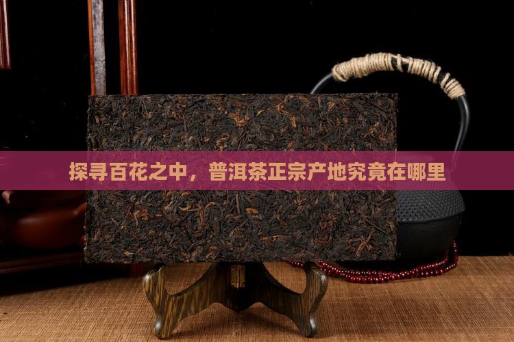 探寻百花之中，普洱茶正宗产地究竟在哪里