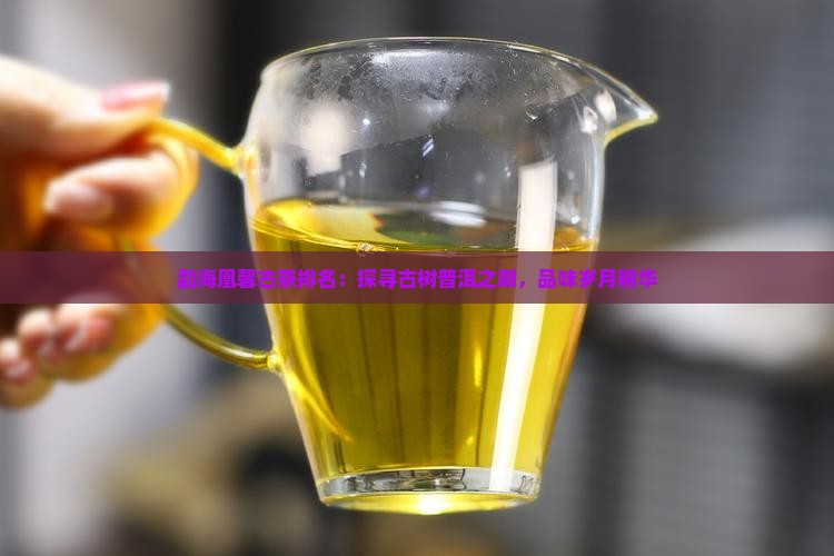 勐海凰馨古茶排名：探寻古树普洱之巅，品味岁月精华